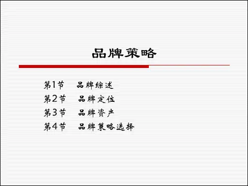 郭国庆市场营销学课件 (13)