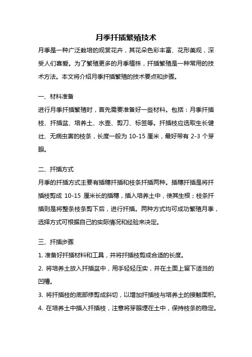月季扦插繁殖技术