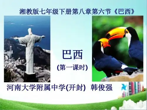 河南省地理优质课一等奖《巴西》说课课件