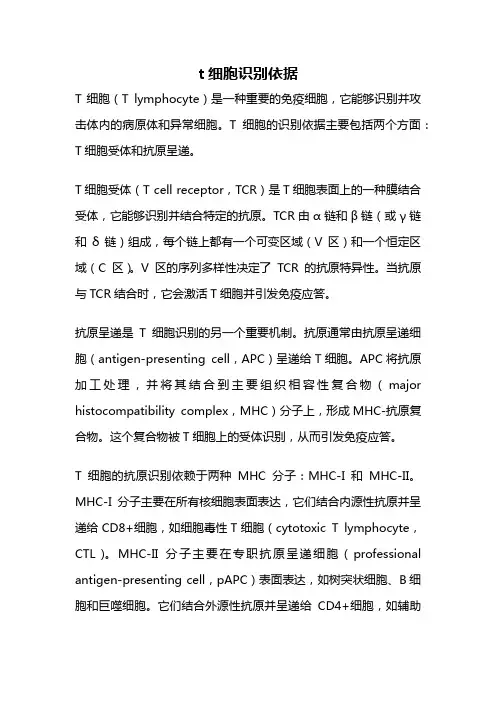 t细胞识别依据