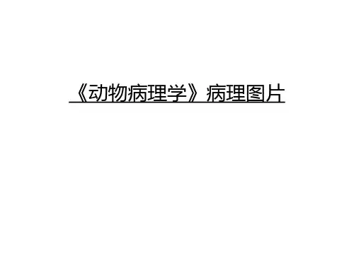 《动物病理学》病理图片知识讲解