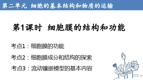 2024届高三一轮复习生物-细胞膜的结构和功能(共29张ppt)