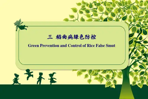 植物病虫害绿色防控技术教学课件(含英文)：稻曲病绿色防控(双语)