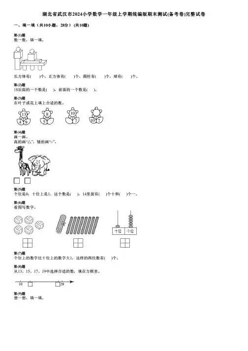 湖北省武汉市2024小学数学一年级上学期统编版期末测试(备考卷)完整试卷