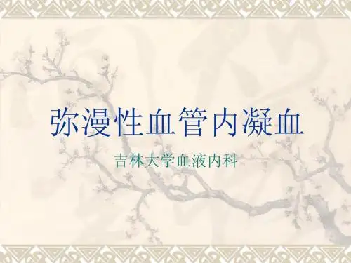 DIC演示文稿