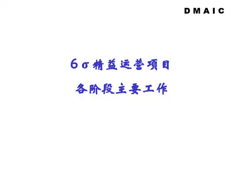 6σ精益运营项目各阶段主要工作[1]
