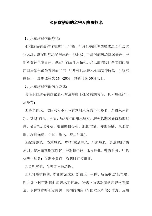 水稻纹枯病的危害及防治技术