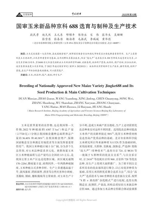 国审玉米新品种京科688选育与制种及生产技术