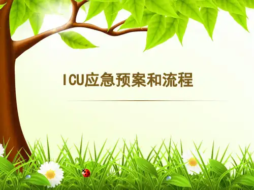 ICU应急处置预案和流程图