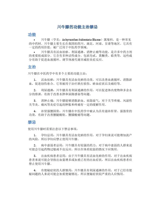 川牛膝的功能主治禁忌