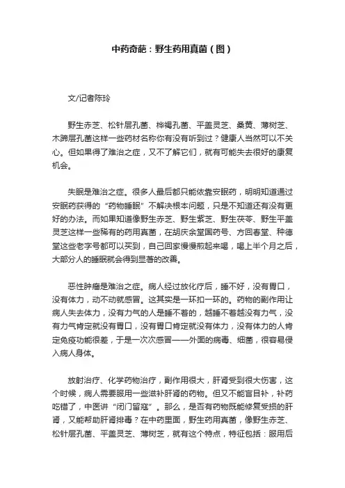 中药奇葩：野生药用真菌（图）