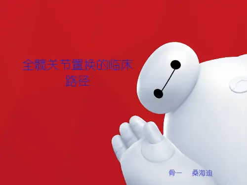 全髋关节置换临床路径