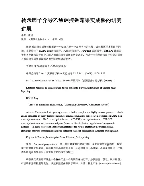 转录因子介导乙烯调控番茄果实成熟的研究进展