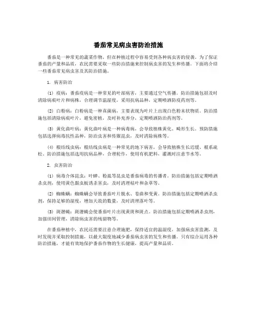 番茄常见病虫害防治措施