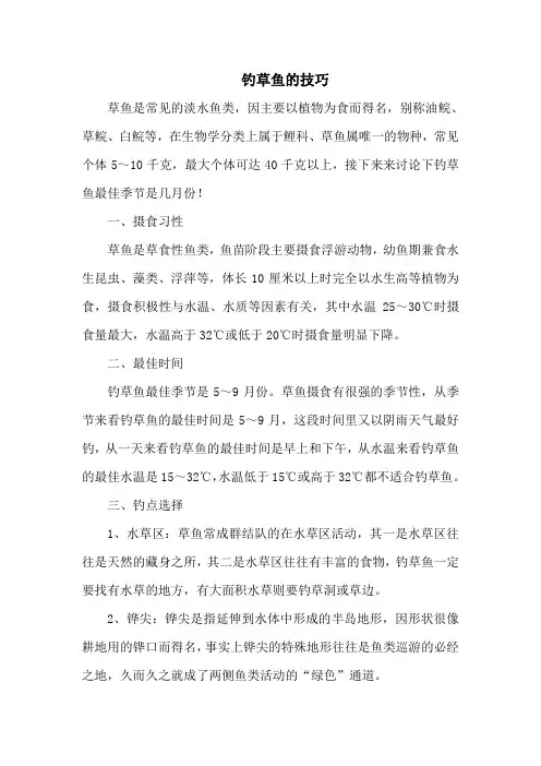 钓鱼技巧：钓草鱼的技巧 