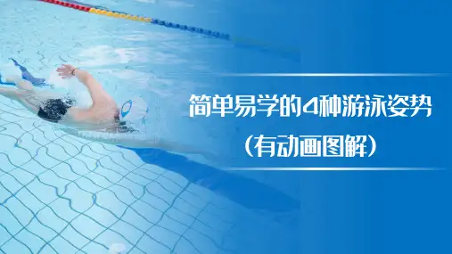 游泳教学PPT