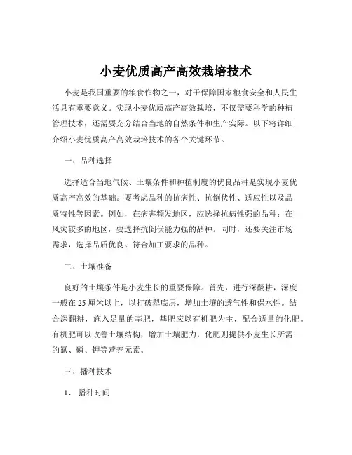 小麦优质高产高效栽培技术