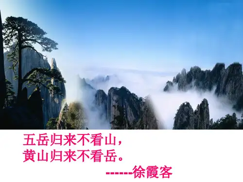 25《黄山松》课件ppt