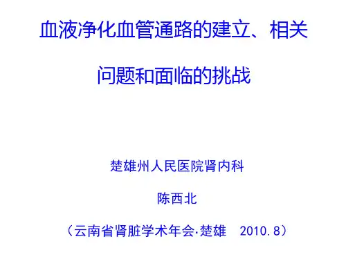 血液净化血管通路的建立、相关问题和面临的挑战