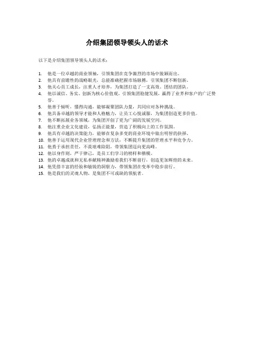 介绍集团领导领头人的话术