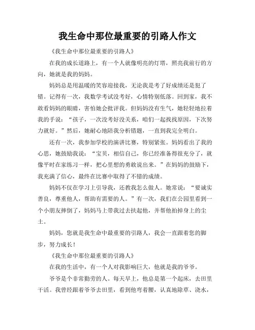 我生命中那位最重要的引路人作文