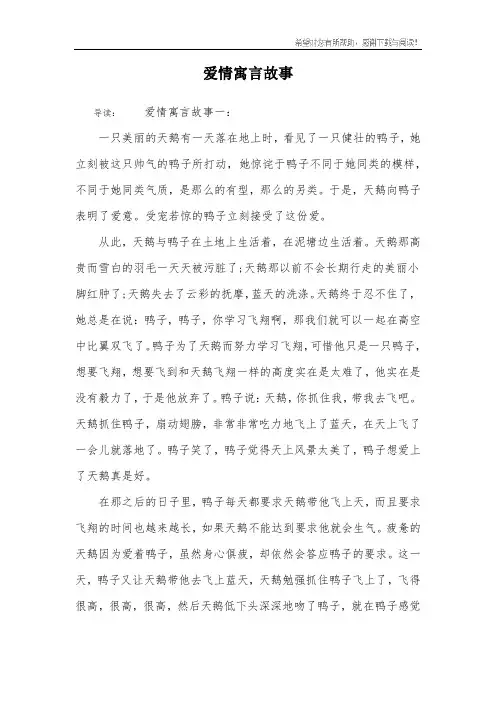 爱情寓言故事