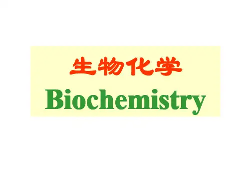 生物化学第九章