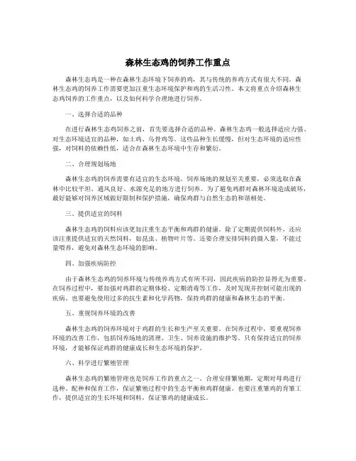 森林生态鸡的饲养工作重点