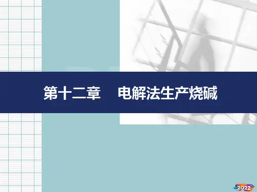 电解法生产烧碱培训课程【优质文档】