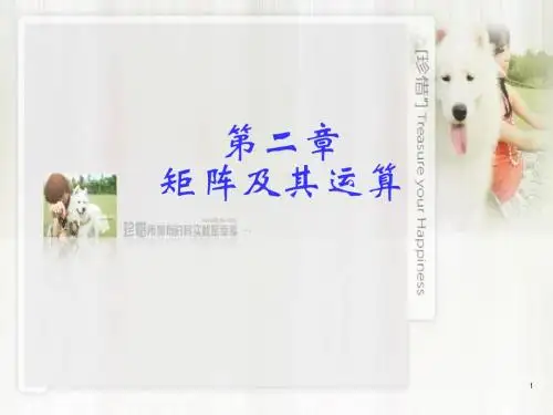 同济大学线性代数课件__第二章