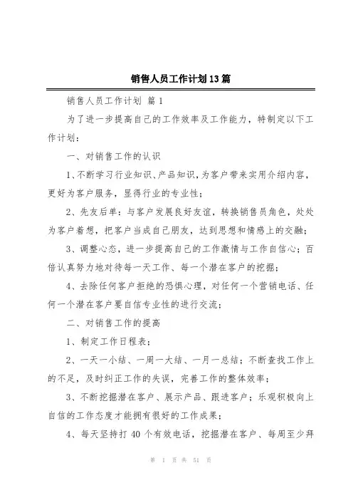 销售人员工作计划13篇