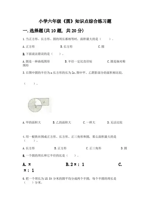 小学六年级《圆》知识点综合练习题有答案解析