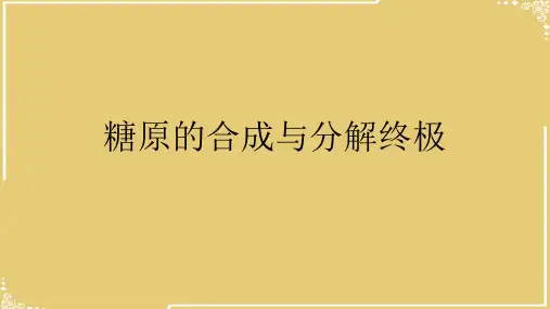 糖原的合成与分解终极【共45张PPT】