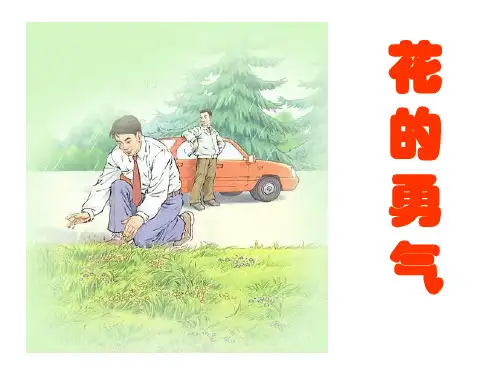 《花的勇气》完美PPT课件