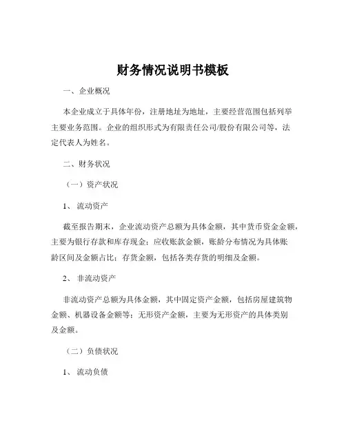 财务情况说明书模板
