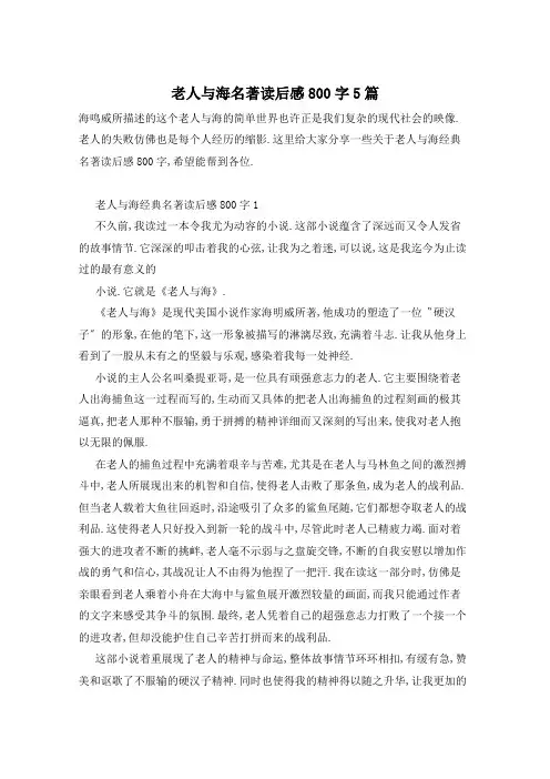 老人与海名著读后感800字5篇