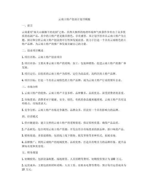 云南土特产创业计划书模板