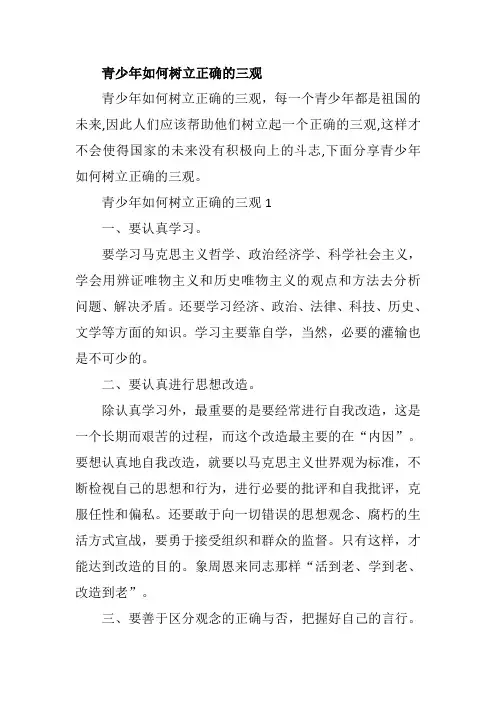青少年树立正确三观以将社会主义核心价值观 融入日常生活的方案探究