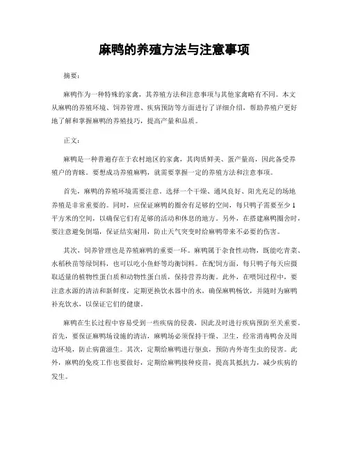 麻鸭的养殖方法与注意事项