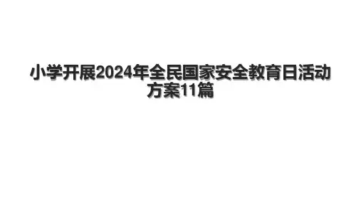 小学开展2024年全民国家安全教育日活动方案11篇
