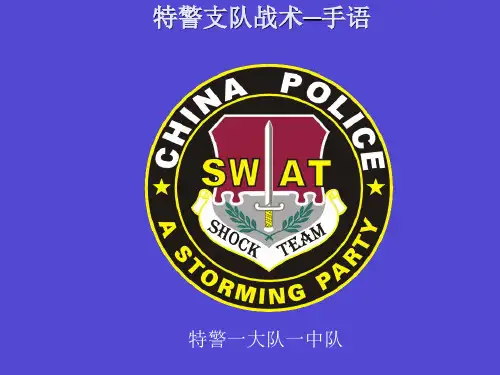 战术手语课件