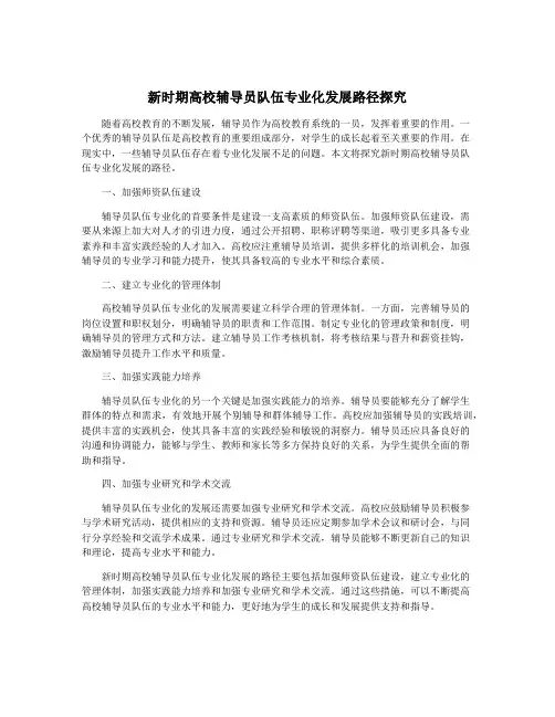 新时期高校辅导员队伍专业化发展路径探究