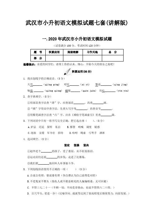 武汉市小升初语文模拟试题七套(讲解版)