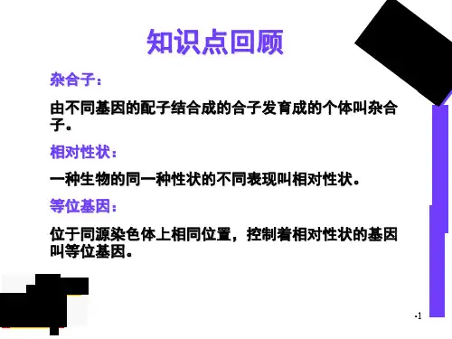性状分离比的模拟实验和分离定律的一般解题思路PPT课件
