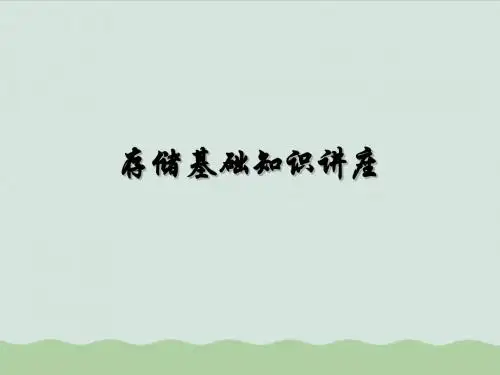 存储基础知识培训(ppt 29页)