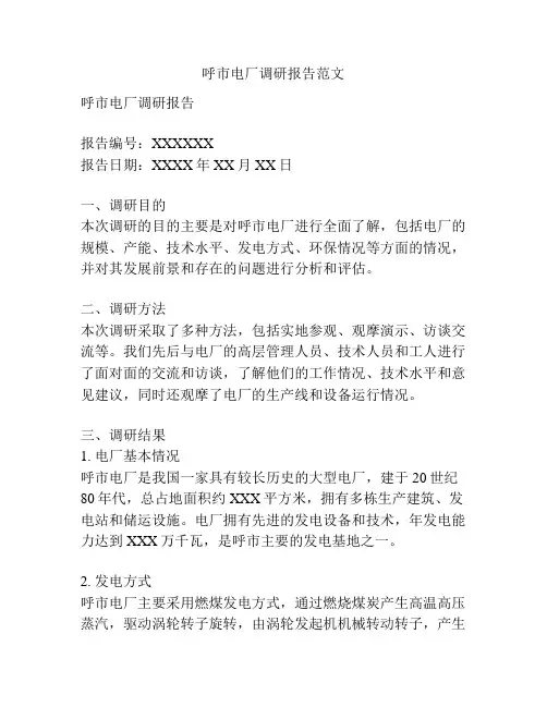 呼市电厂调研报告范文
