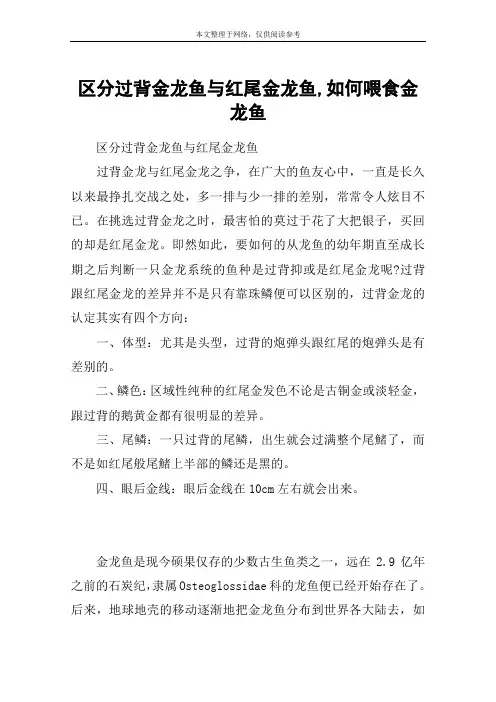 区分过背金龙鱼与红尾金龙鱼,如何喂食金龙鱼