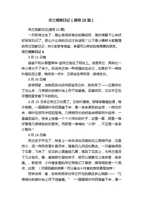 吊兰观察日记（通用15篇）
