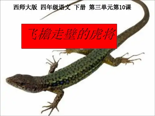 飞檐走壁的虎将 优秀ppt课件3