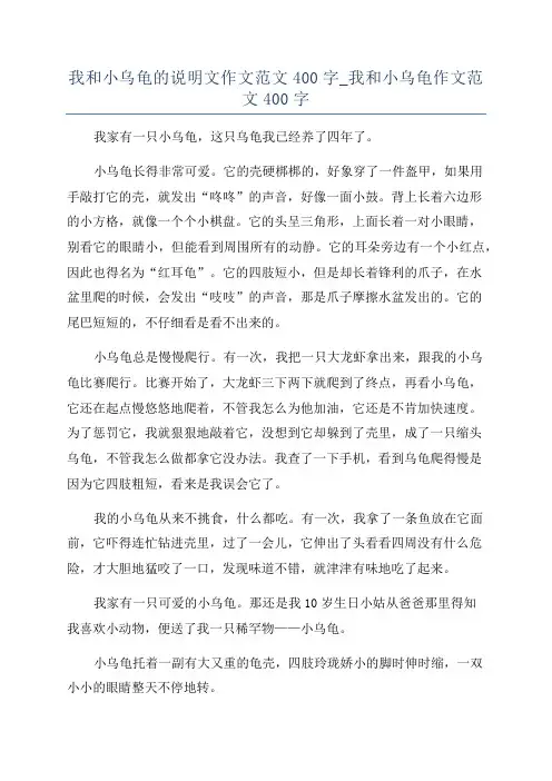 我和小乌龟的说明文作文范文400字_我和小乌龟作文范文400字